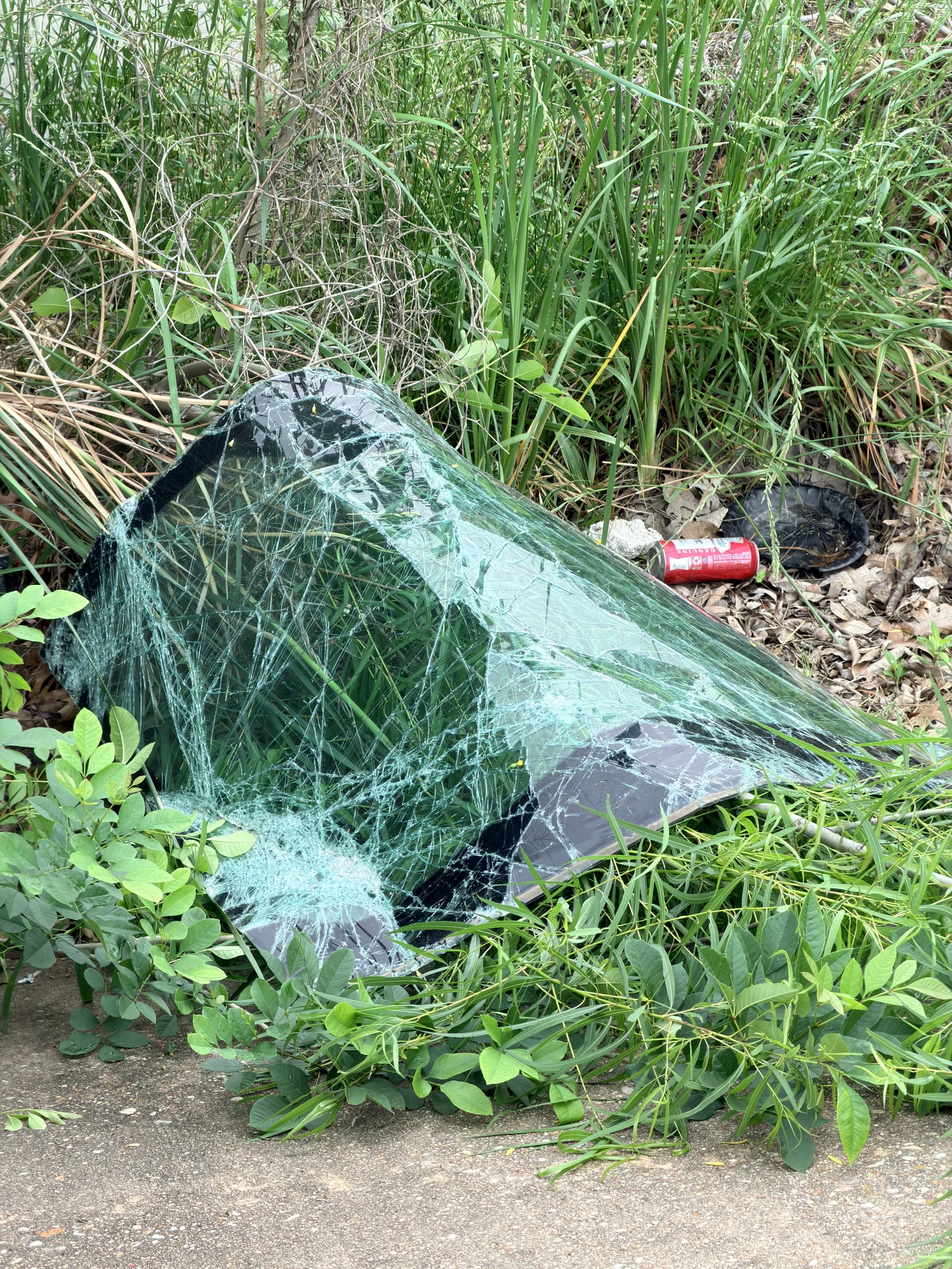 Shattered windshield glass